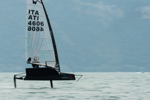20190712-dm-110-medium6A31E4DB-A02D-566B-39CF-47D14FF237F6.jpg